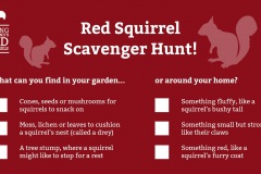 Scavenger Hunt SSRS.jpg