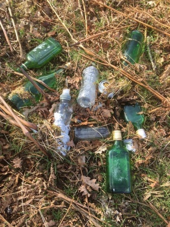 Litter Example.jpg