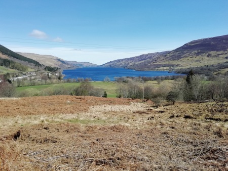 Loch Earn Sunny.jpg
