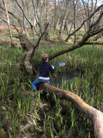 Pond Dipping.jpg